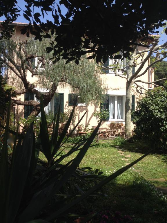Villa Prétorina Cannes Exterior foto